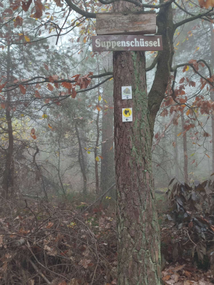 Leistadt, 
Sieben-Waldwunder-Weg,
10. November 2024 